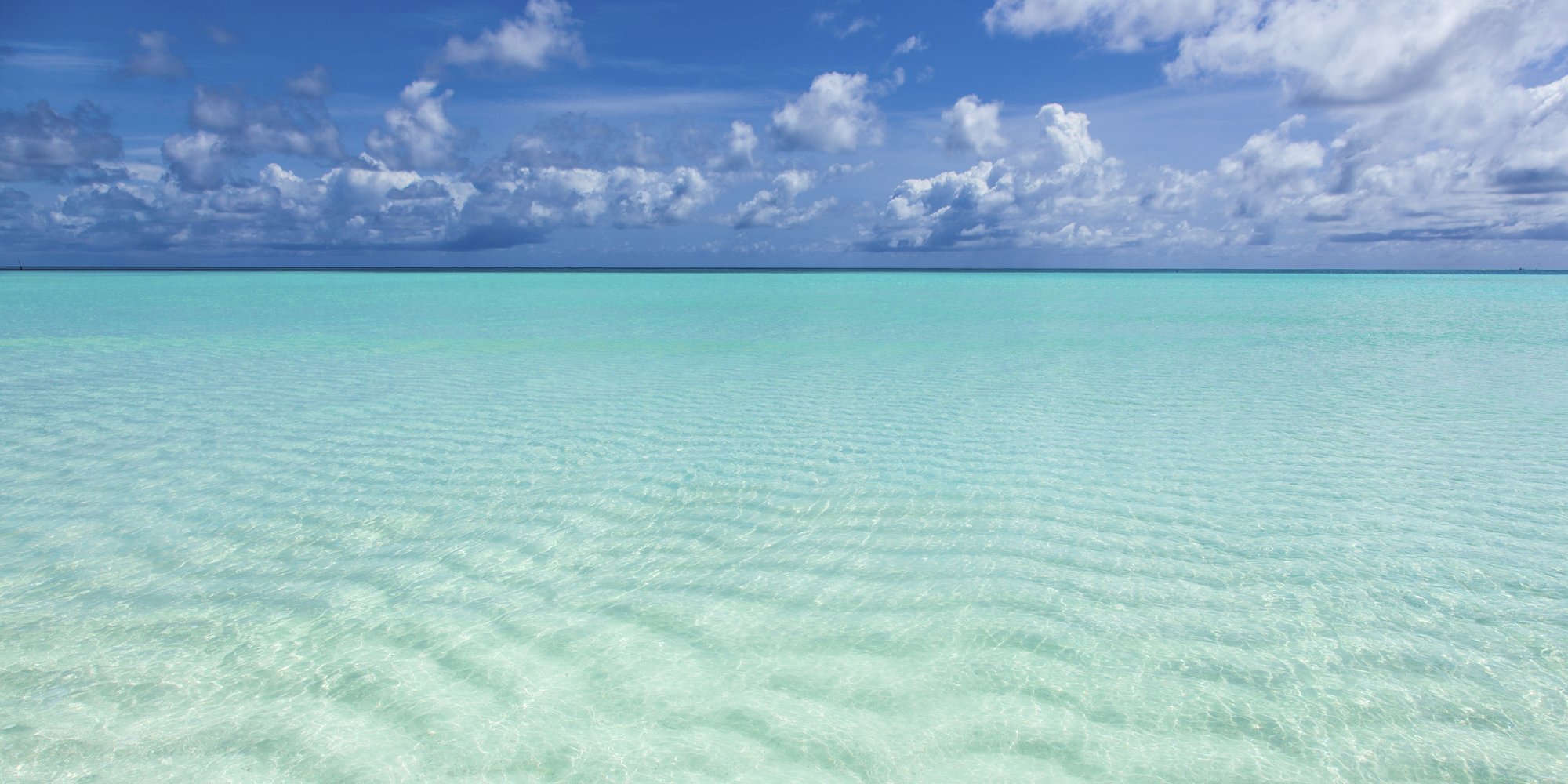 Bahamas will forever be my favourite - Riaan Robberts, Burgess Videographer of the Year 2022