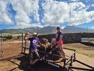 Hawaii volunteering